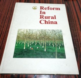 中国农村改革大潮