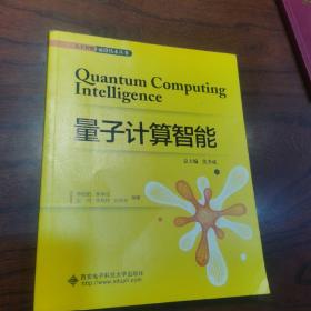量子计算智能