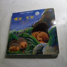 晚安，宝贝/宝宝的第一本睡前认知书