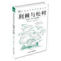 【正版新书】中国当代寓言作家小辑:荆棘与松树