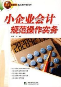 小企业会计规范操作实务 9787509204849 许群 中国市场出版社