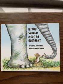 If you should meet an elephant