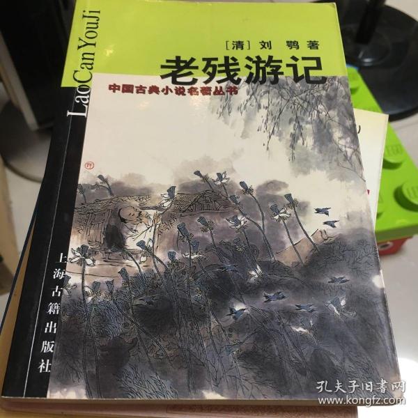 老残游记读后感_读老残游记有感2000字_老残游记读后感1500大学生