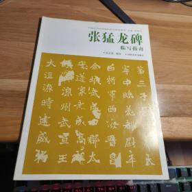 T   张猛龙碑临写指南 (中国历代经典碑帖临写指南系列) 16开