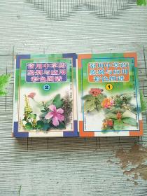 常用中草药鉴别与应用彩色图谱 1 2 两册合售 库存书