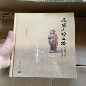 废墟上的足迹——徐光冀考古与文物保护文集