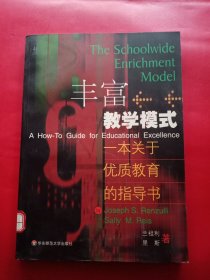 丰富教学模式:一本关于优质教育的指导书
