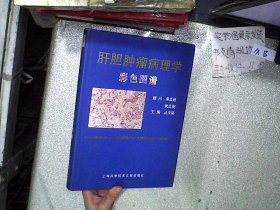 肝胆肿瘤病理学彩色图谱 丛文铭 9787543912441 上海科学技术文献出版社