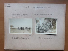 1934年 金陵大学西北考察团乔启明摄 西安老照片2张《楼观台附近村民修路》《橡树林》 整体尺寸29x22厘米，品相好史料价值高！
