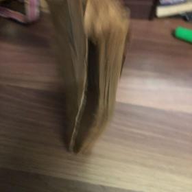 聊斋志异评注 （卷十三卷十四）