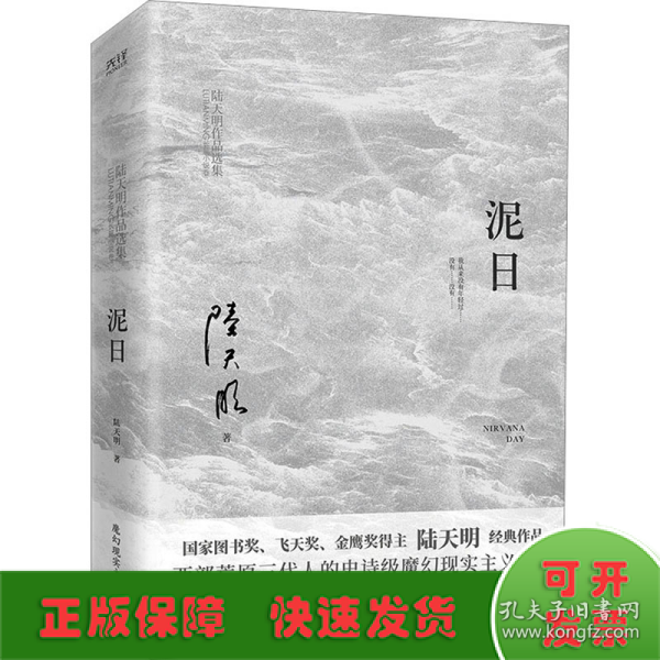 泥日（知名作家陆天明魔幻现实主义突破之作，西北荒原的壮丽家族史诗，他们从未年轻过，也只想活得好一点）