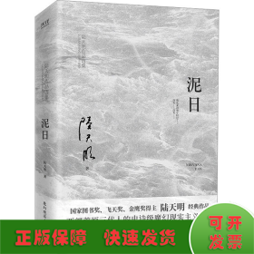 泥日（知名作家陆天明魔幻现实主义突破之作，西北荒原的壮丽家族史诗，他们从未年轻过，也只想活得好一点）