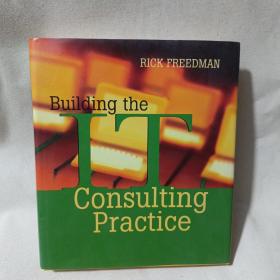 Building the IT Consulting Practice