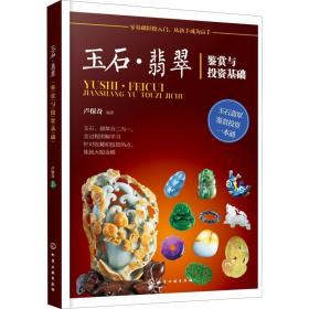 玉石·翡翠鉴赏与投资基础 古董、玉器、收藏 卢保奇 新华正版