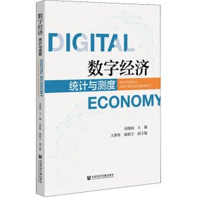 【正版书籍】数字经济：统计与测度