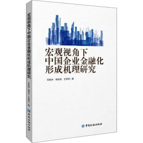 宏观视角下中国企业金融化形成机理研究 9787522018959