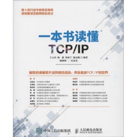 正版 一本书读懂TCP/IP 9787115412386 人民邮电出版社