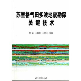 【9成新正版包邮】苏里格气田多波地震勘探关键技术