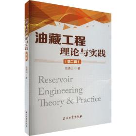 油藏工程理论与实践(第2辑) 化工技术 岳清山 新华正版
