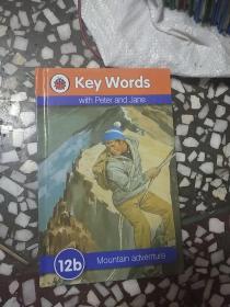 Key Words Collection x36关键词1-36套装