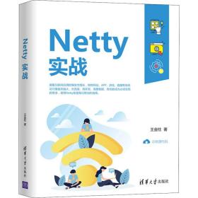 新华正版 Netty实战 王金柱 9787302563402 清华大学出版社