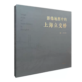 【正版】影像地图中的上海立交桥