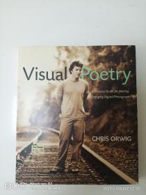 【原版】Visual Poetry: A Creative Guide for Making Engaging Digital Photographs