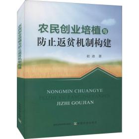 农民创业培植与防止返贫机制构建 赵迪 9787109287433 中国农业出版社