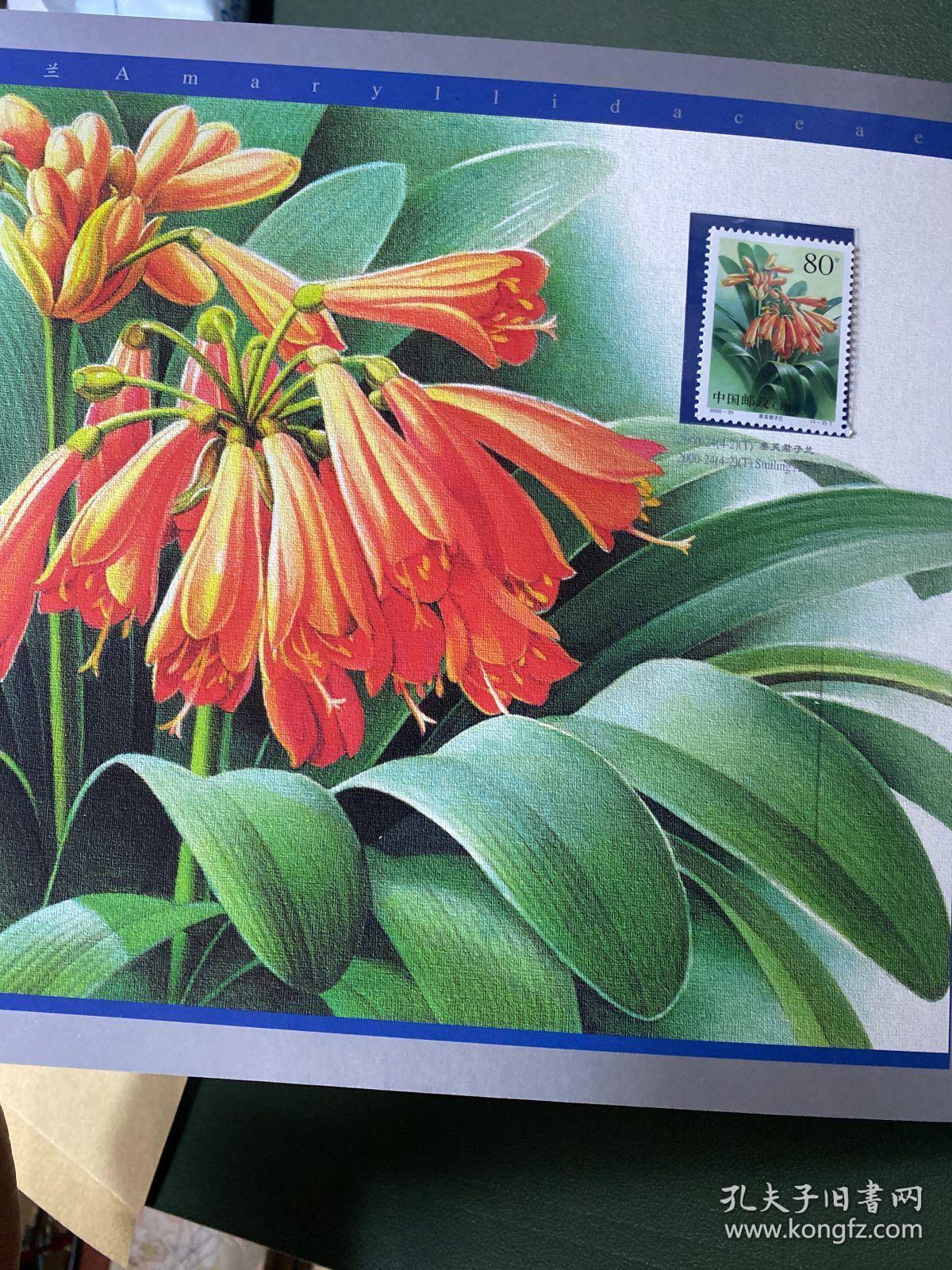 君子兰特种邮票专集