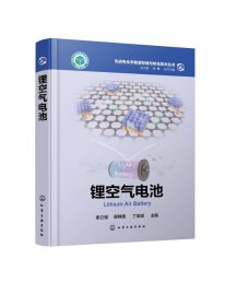 电化学能源存储与转化技术丛书--锂空气电池