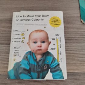 How to Make Your Baby an Internet Celebrity:Guiding Your Child To Success and Fulfillment