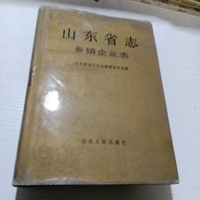 山东省志 乡镇企业志