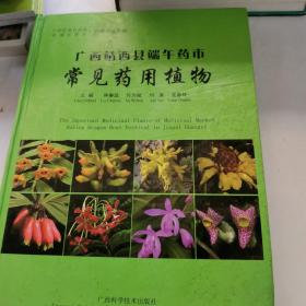 广西靖西县端午药市常见药用植物