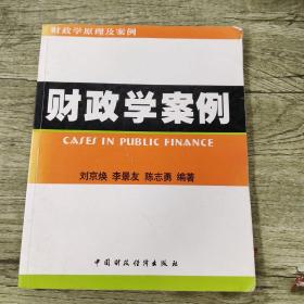 财政学案例