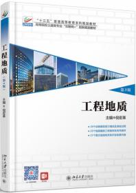 工程地质（第3版） 普通图书/综合图书 倪宏革 北京大学 9787301303160