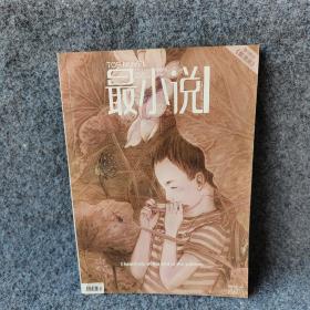 最小说2009.17总第29期