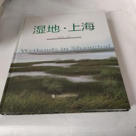 上海湿地