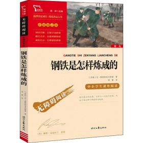钢铁是怎样炼成的