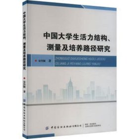 中国大活力结构、测量及培养路径研究 教学方法及理论 宋传颖 新华正版