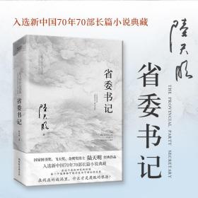 省委书记 中国现当代文学 陆天明 新华正版
