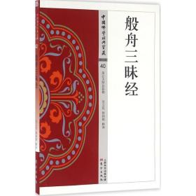 般舟三昧经 宗教 吴立民,徐孙铭 释译 新华正版