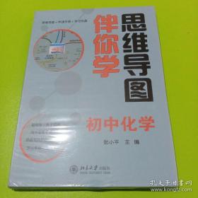 思维导图伴你学 初中化学  （塑封）