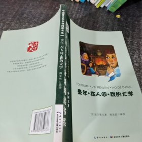 中国青少年分级阅读书系童年在人间，我的大学