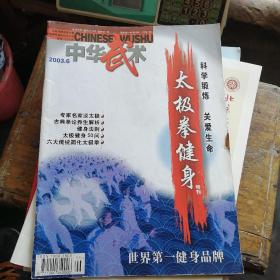 中华武术（2003年6月）太极拳健身特刊