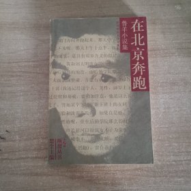 鲁羊小说集：在北京奔跑