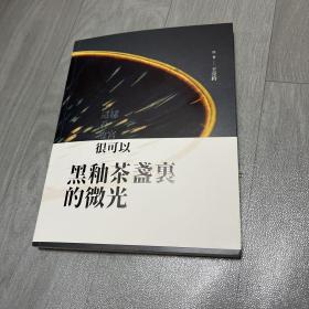 天目建盏 黑釉茶盏里的微光 王亮钧 著