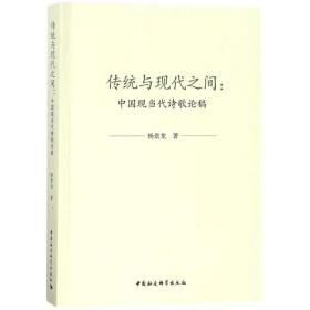 传统与现代之间 中国古典小说、诗词 杨景龙 新华正版