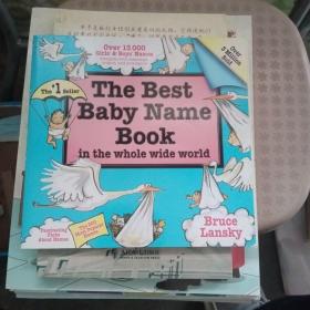 The Best Baby Name Book in the Whole Wide World