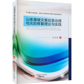 山体滑坡灾害应急治理与灾后修复理论与实践 冶金、地质 王爱国 新华正版