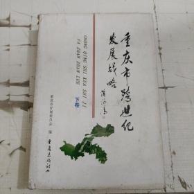 重庆市跨世纪发展战略  下册